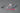 mg-1-100-freedom-gundam-ver-2-0