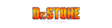 Dr Stone