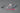 mg-1-100-freedom-gundam-ver-2-0